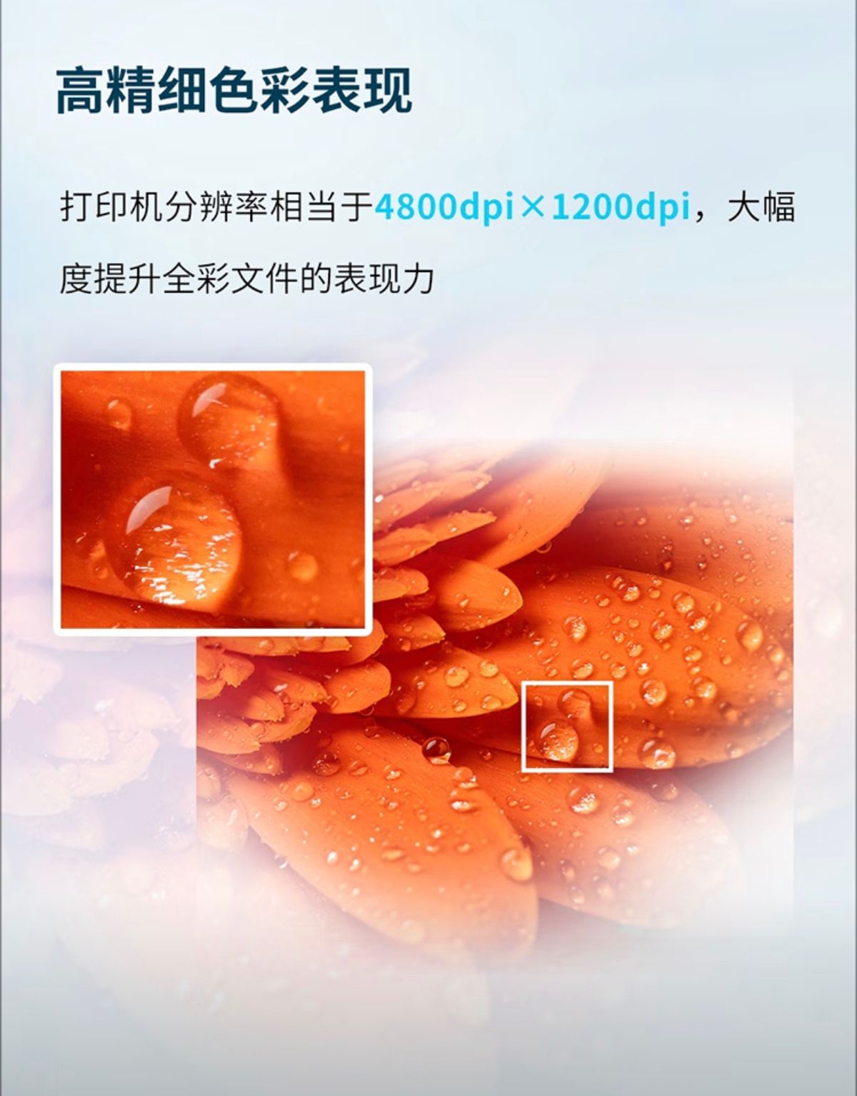 详情3.jpg